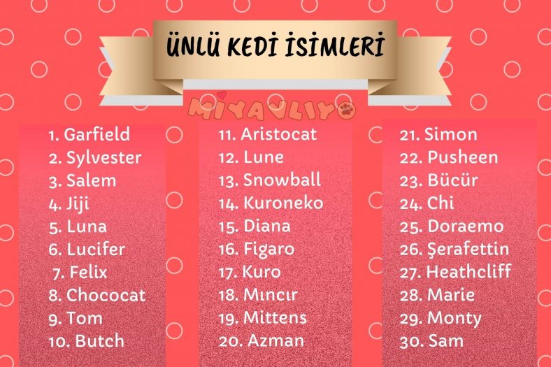 unlu kedi adlari listesi