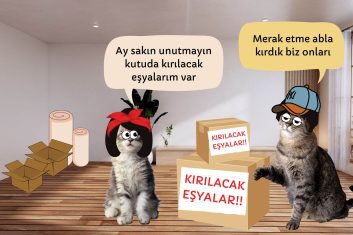 Anne neden yavru kedisini başka bir yerde taşıyor?